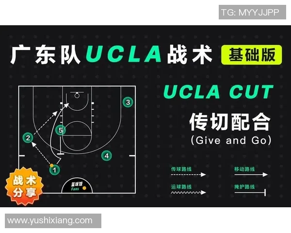 杭州羽毛球队的节奏打法深度解析与战术运用探讨