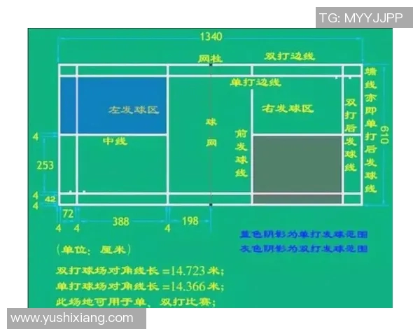杭州羽毛球队在锦标赛中的战术分析与表现评估