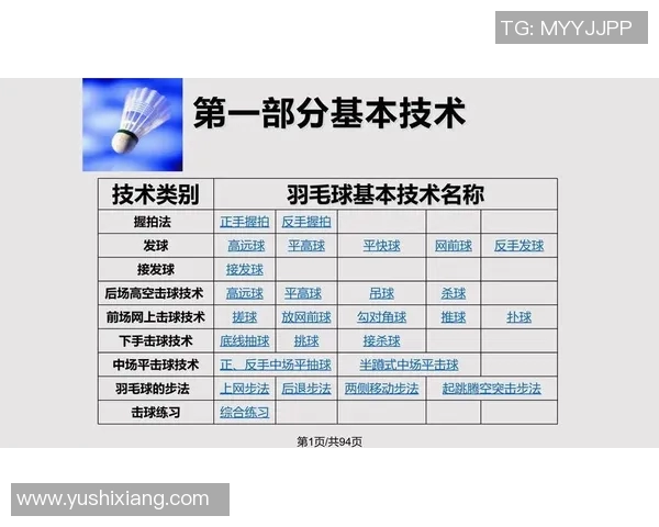 杭州羽毛球队战术解析与对比研究揭示竞技优势与发展潜力