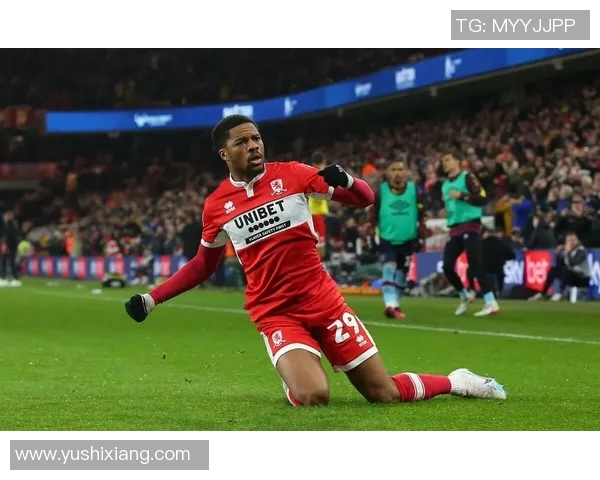 诺维奇对米堡精彩直播全程回顾与赛后分析