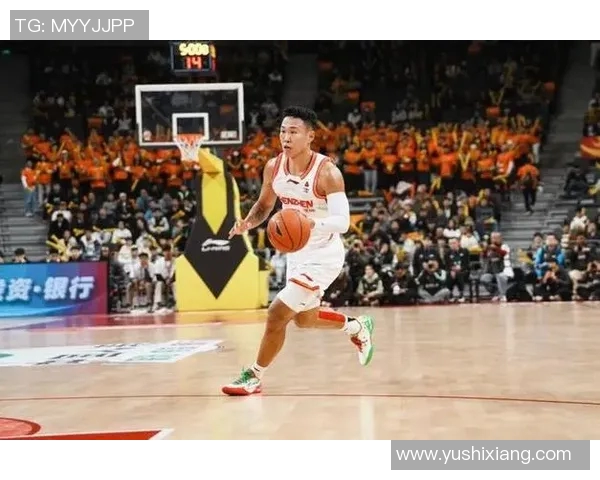 贺希宁：从青年才俊到篮球场上的闪耀明星之路