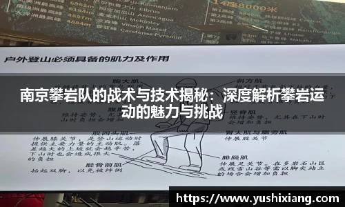 南京攀岩队的战术与技术揭秘：深度解析攀岩运动的魅力与挑战