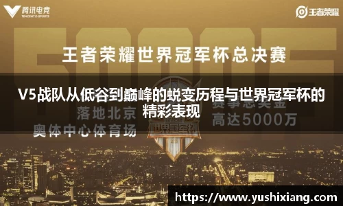 678体育官网下载