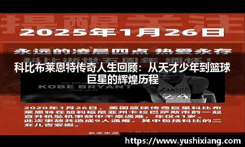 678体育