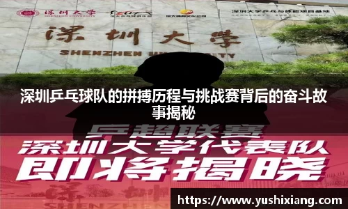 678体育官网